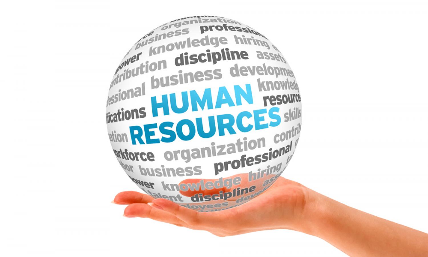 Human Resources Support | Sydney